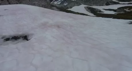 CORTINA – La neve in quota si tinge di rosso