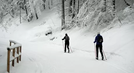 SCI DI FONDO - Apre l'anello di Roncobello, in Val Brembana. La situazione in Bergamasca
