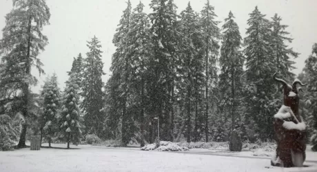 METEO NEVE - Ancora brutto tempo, ce lo portiamo fino a Pasqua?