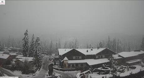 METEO - Neve sulle Alpi, tutte le webcam 