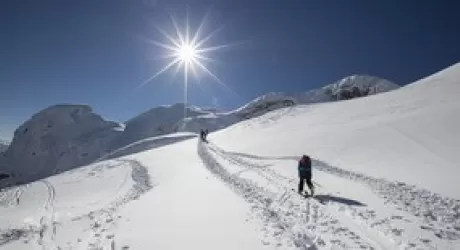 Nassfeld: il 24 gennaio formaggi locali e speck sulle piste