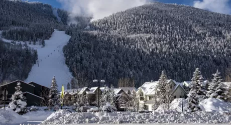 Negli USA è stata la 5/a migliore stagione di sempre, nonostante il Coronavirus