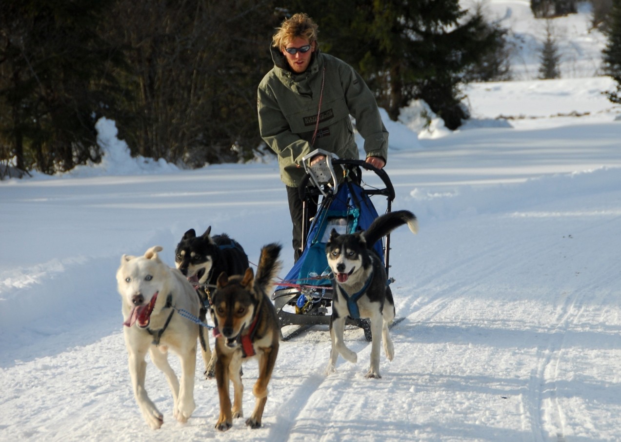 Maurizio Valdemarin - Seddog Fusine Maurizio Valdemarin - Seddog Fusine
