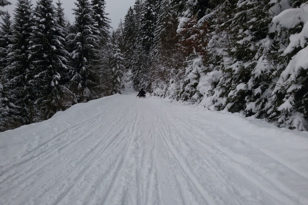 Sentiero Panoramaweg Reither Kogel, Reith im Alpbachtal