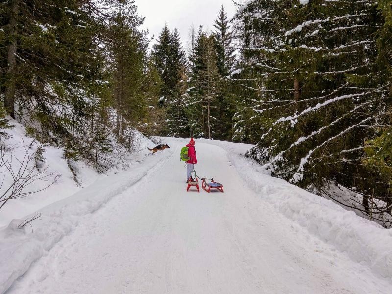 Pista slittino Malga di Tesido