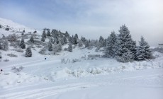 PONTEDILEGNO TONALE - Neve al top e tutto aperto per le Feste