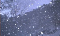 METEO NEVE - Finalmente la neve sulle alpi! Bollettino, webcam