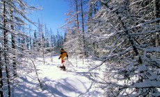 ALAGNA - Sci e ciaspolate per chi cerca compagnia