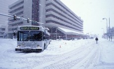 NEVE - E in Canada? Tonnellate di powder!