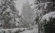 NEVE SULLE ALPI - Le foto di Bardonecchia imbiancata