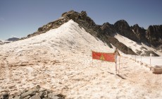 Perché l'alga rosa è pericolosa per i ghiacciai