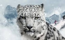 DYNAFIT Snow Leopard Day 2017: raccolti quasi 10mila euro per la tutela del leopardo delle nevi