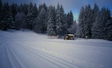 SCI DI FONDO - Piste garantite alla Conca dell'Alben